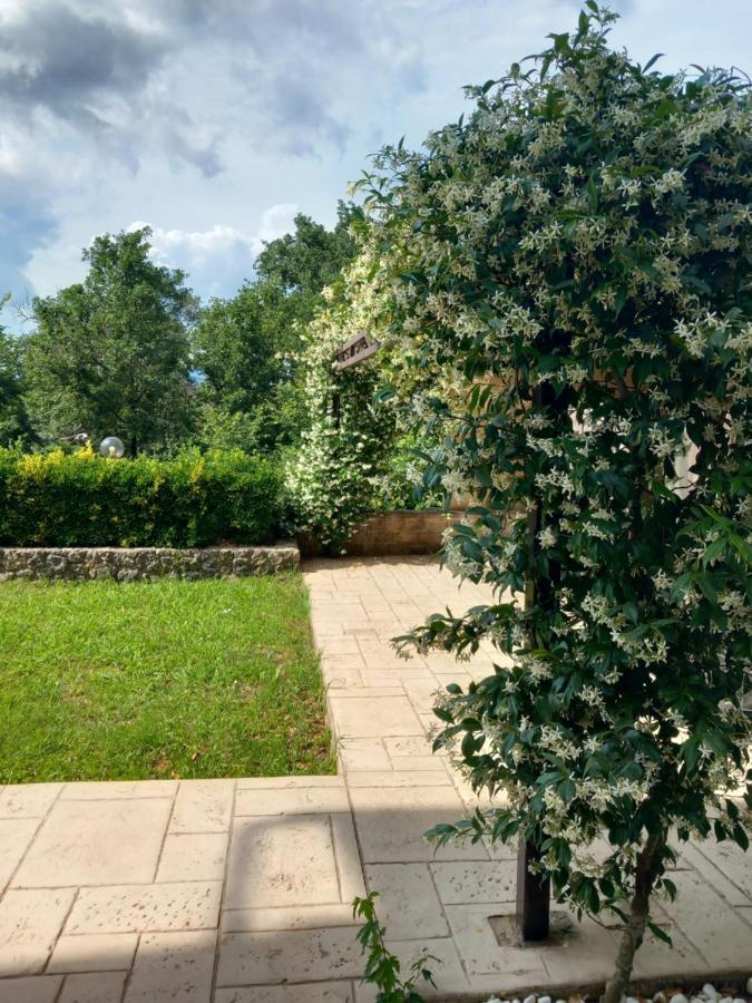 Holiday home Heraklia's House Perama (Corfu)
